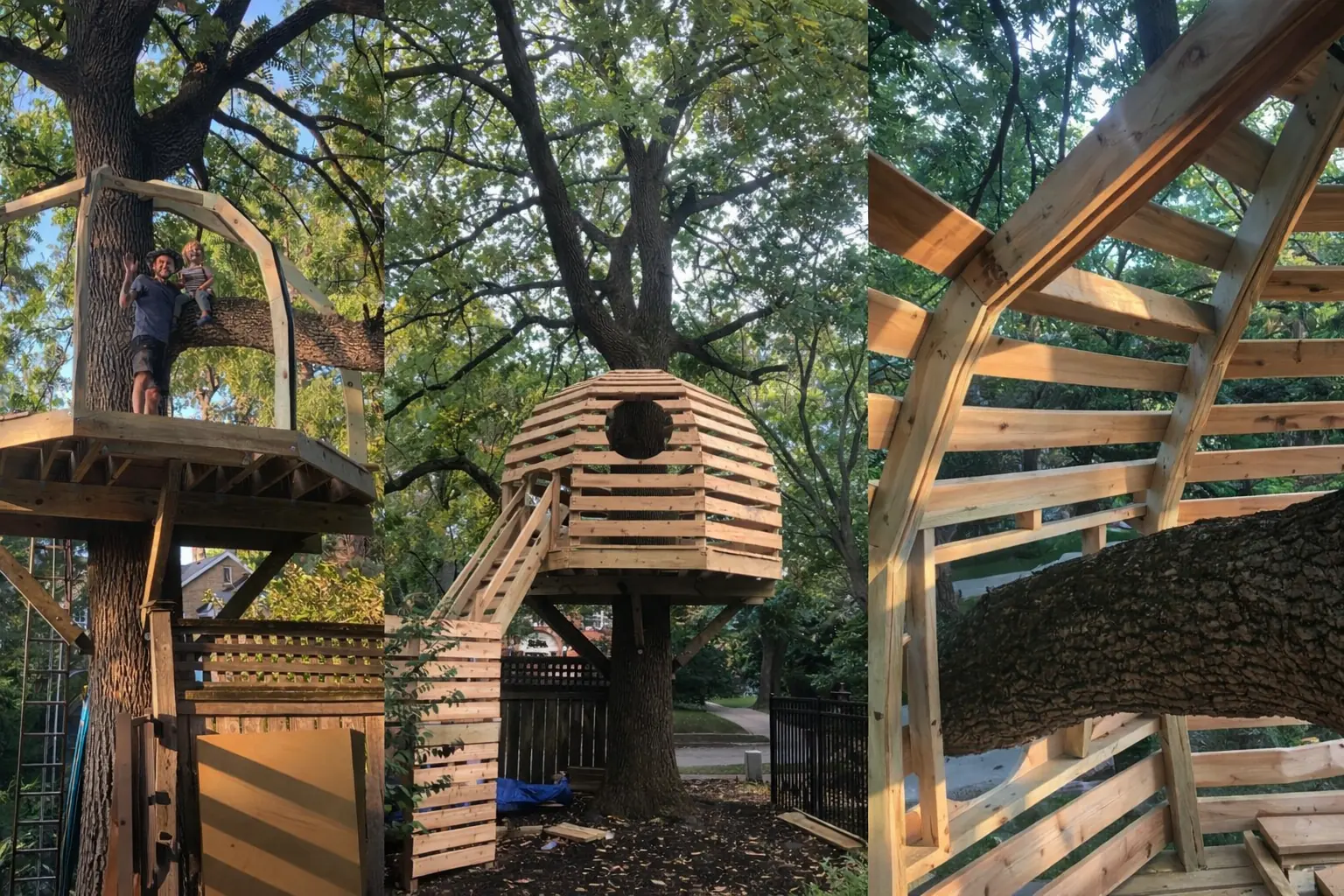 Custom-built treehouse in a Chicago backyard - curved laminated rafters, slatted cedar shell, and a switchback stair, built by Paro Projects